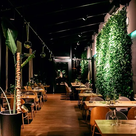 Pod Jedlami Hotel 3*