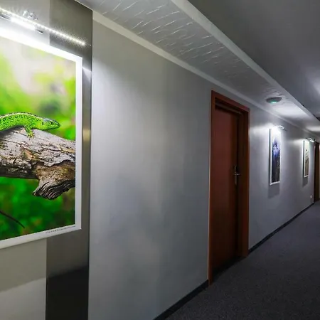 Pod Jedlami 3* Wisła