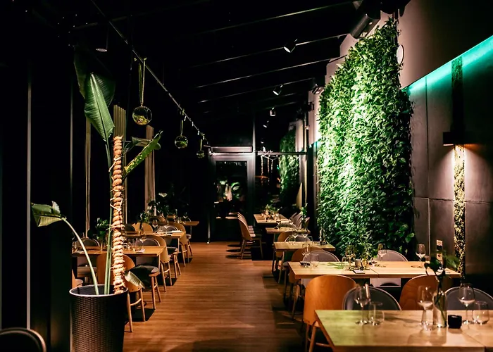 Pod Jedlami Hotel 3*