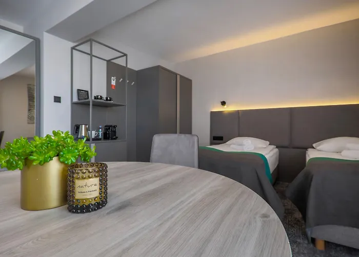 Pod Jedlami Hotel Visla