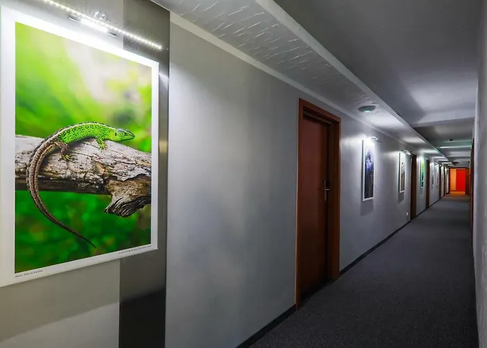 Pod Jedlami 3* Wisła