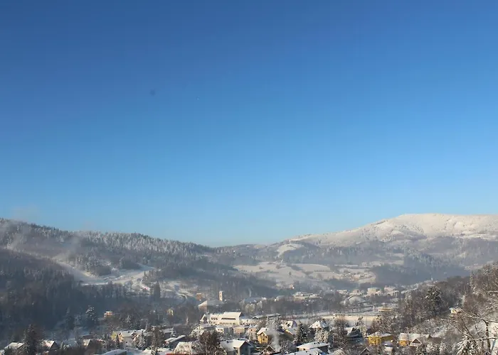 Pod Jedlami Hotel 3*